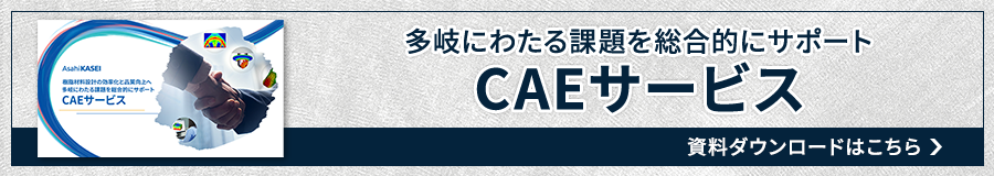 CAEサービス