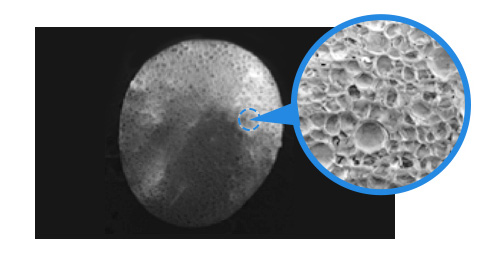 サンフォース®発泡ビーズの断面図